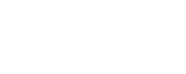 BUSINESS CHARISMA CLASS by Bettina Cramer